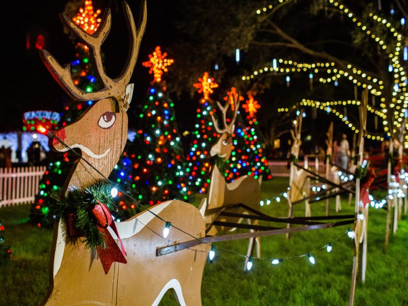 A line of wooden reindeer cutouts stands on a grassy lawn at night, each decorated with a red bow and green wreath around its neck. They are connected by a string of white Christmas lights acting as reins. In the background, several Christmas trees are illuminated with colorful lights and bright orange star toppers, creating a festive park scene.