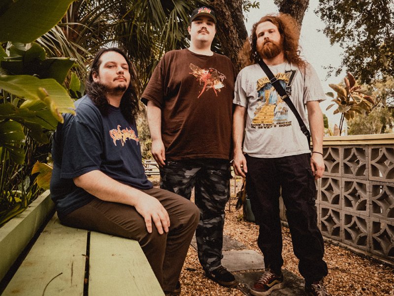 Three individuals dressed casually, two wearing graphic t-shirts and one in a plain brown shirt. The central person wears a baseball cap and camouflage pants. They are framed by large green leaves and a tree trunk.