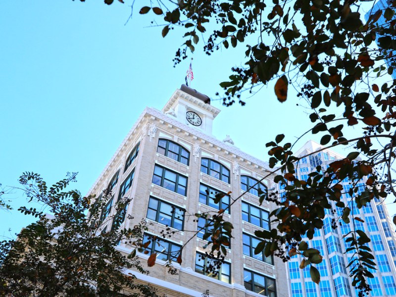 View of the historic Old City Hall building in Tampa, showing the clock tower and architectural details against a clear blue sky, framed by dark tree branches.