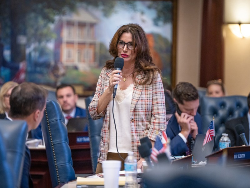 Representative Michelle Salzman stands and speaks into a microphone during a legislative session, wearing a plaid blazer over a white top, with a painting of a historic building in the background
