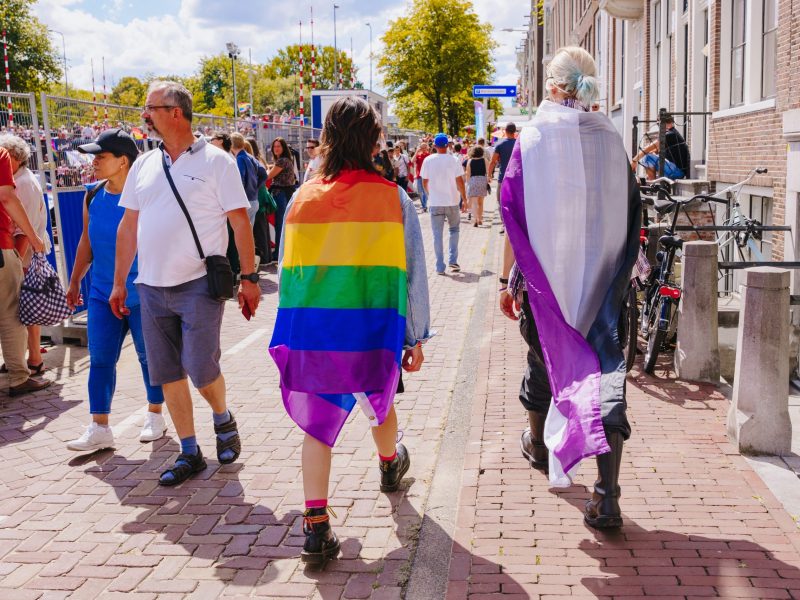 Two people walk away from the camera down a brick street, wearing Pride flags draped over their shoulders like capes. The person in the center wears a classic rainbow flag over a denim jacket, while the person to the right wears an asexual Pride flag featuring horizontal stripes of black, gray, white, and purple. They are walking amidst a crowd at a sunny outdoor event, with buildings and metal barricades visible in the background.